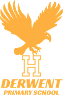 Derwent School uniform website for purchasing clothing and school accessories